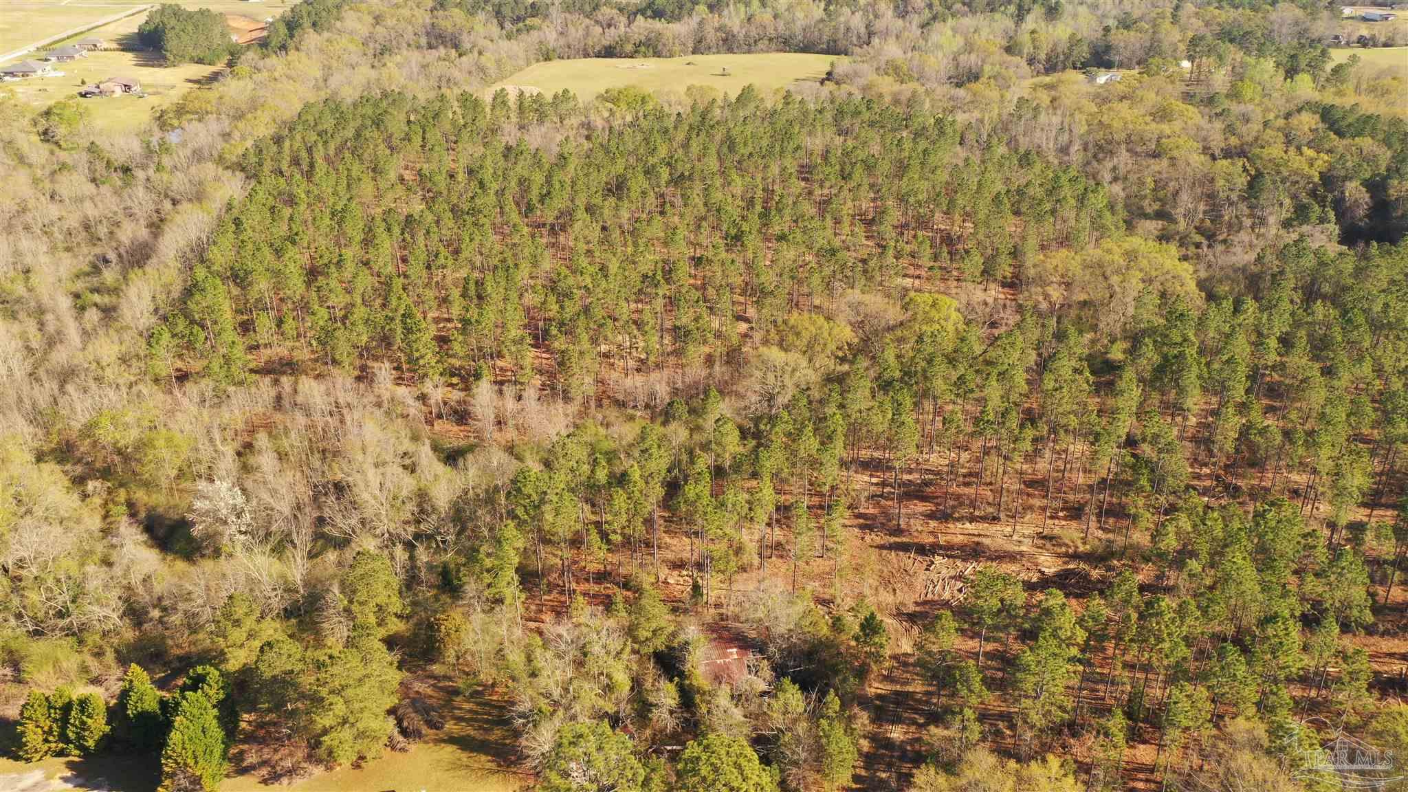 0 Deere Creek Road Atmore, AL 36502 - Photo 5 of 26