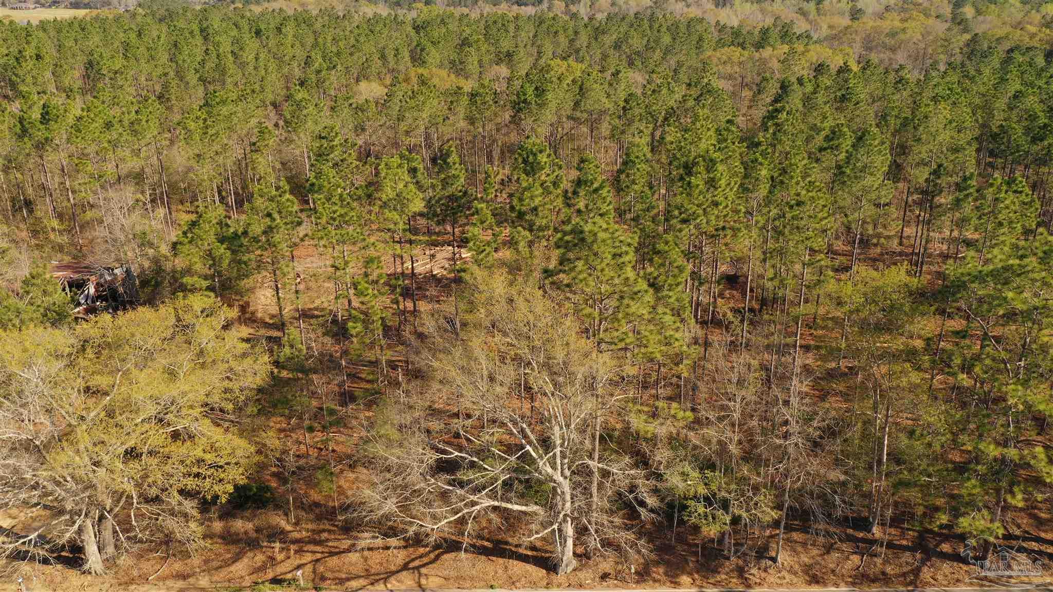 0 Deere Creek Road Atmore, AL 36502 - Photo 6 of 26