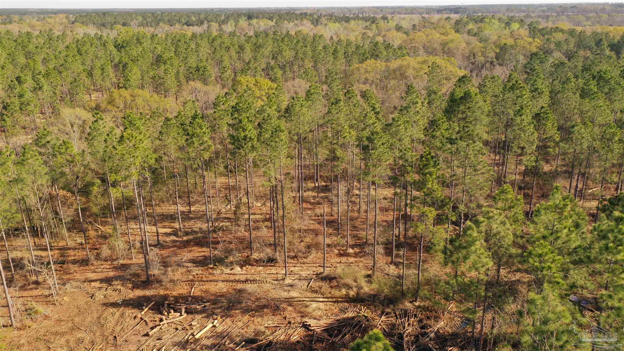0 Deere Creek Road Atmore, AL 36502 - Photo 7 of 26