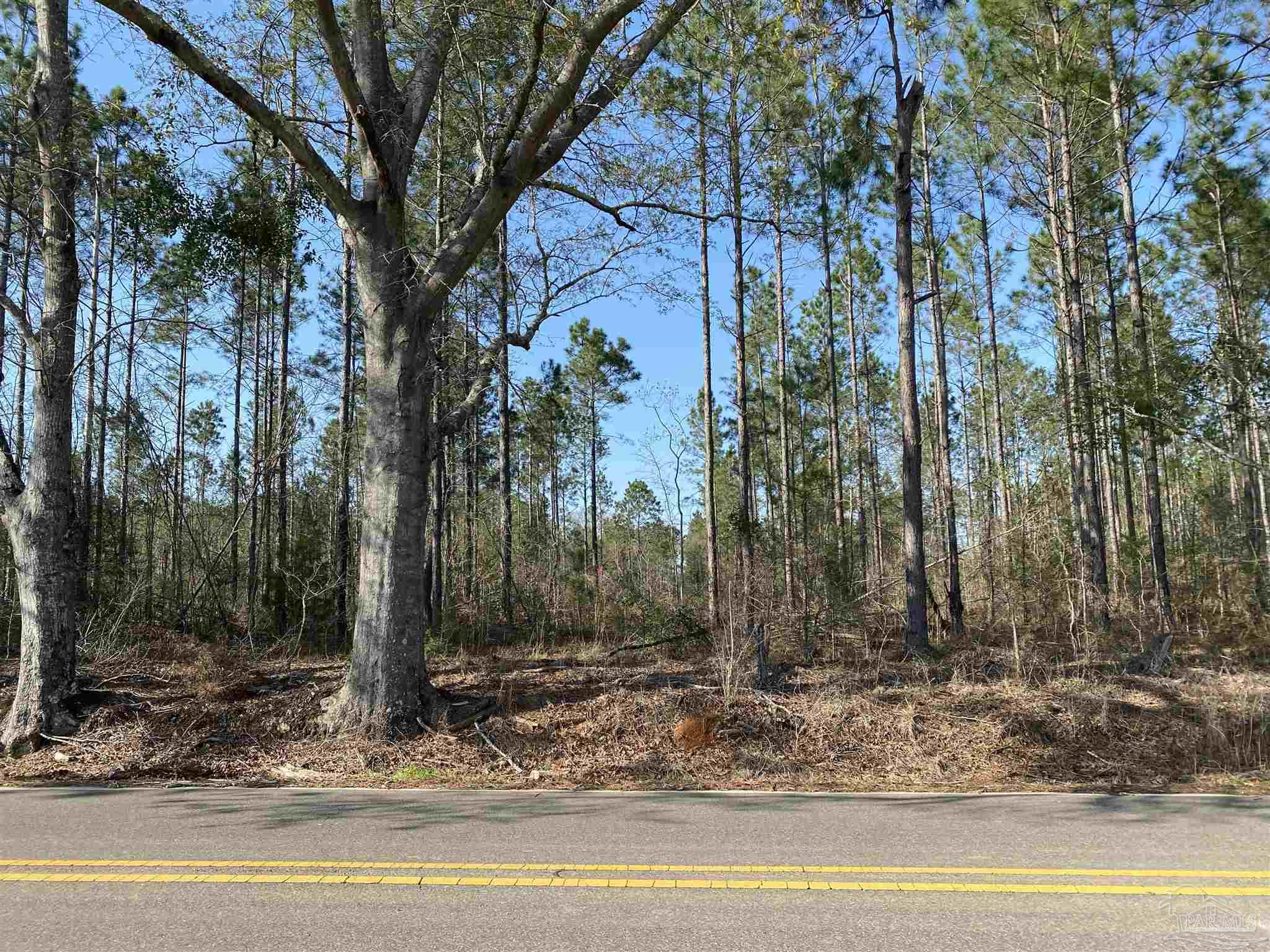 0 Deere Creek Road Atmore, AL 36502 - Photo 8 of 26