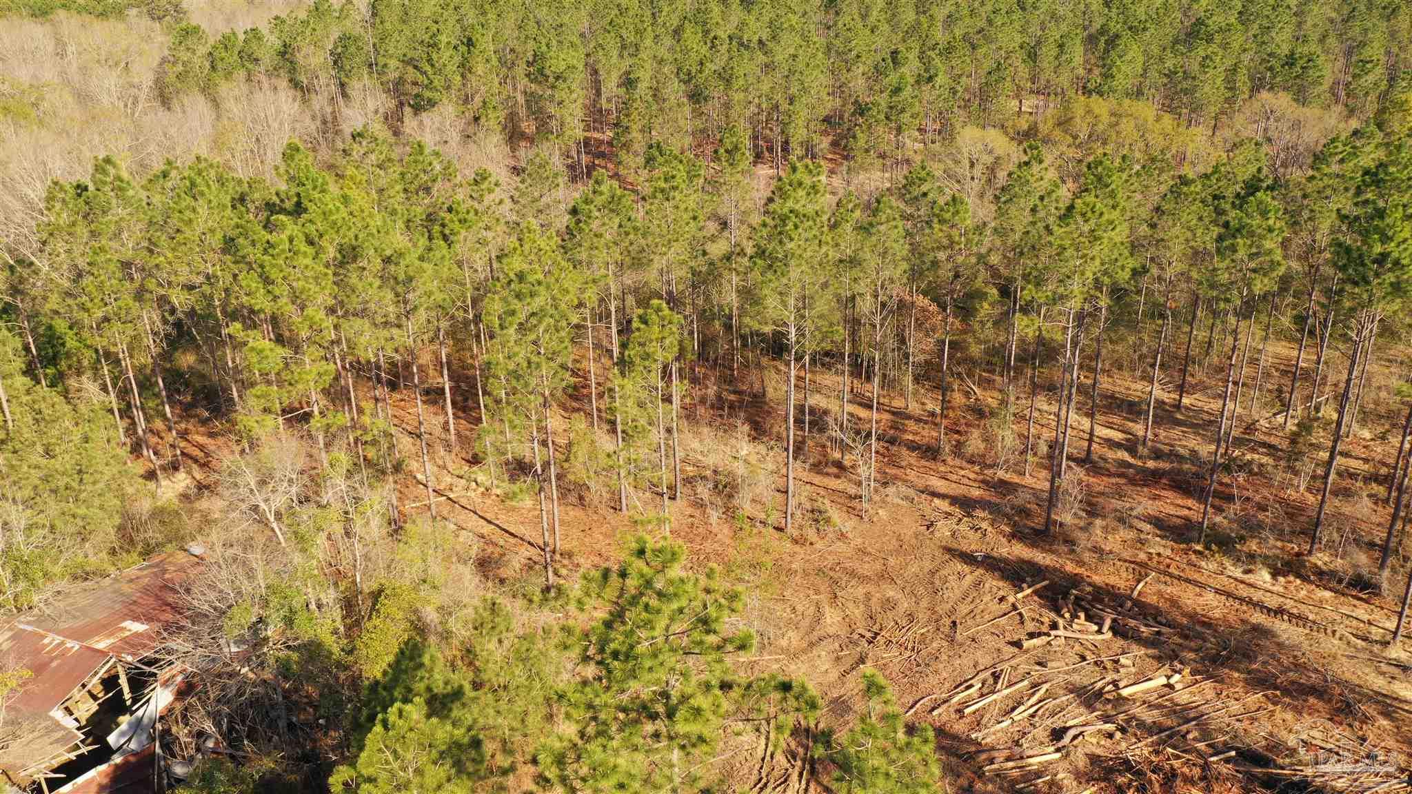 0 Deere Creek Road Atmore, AL 36502 - Photo 9 of 26