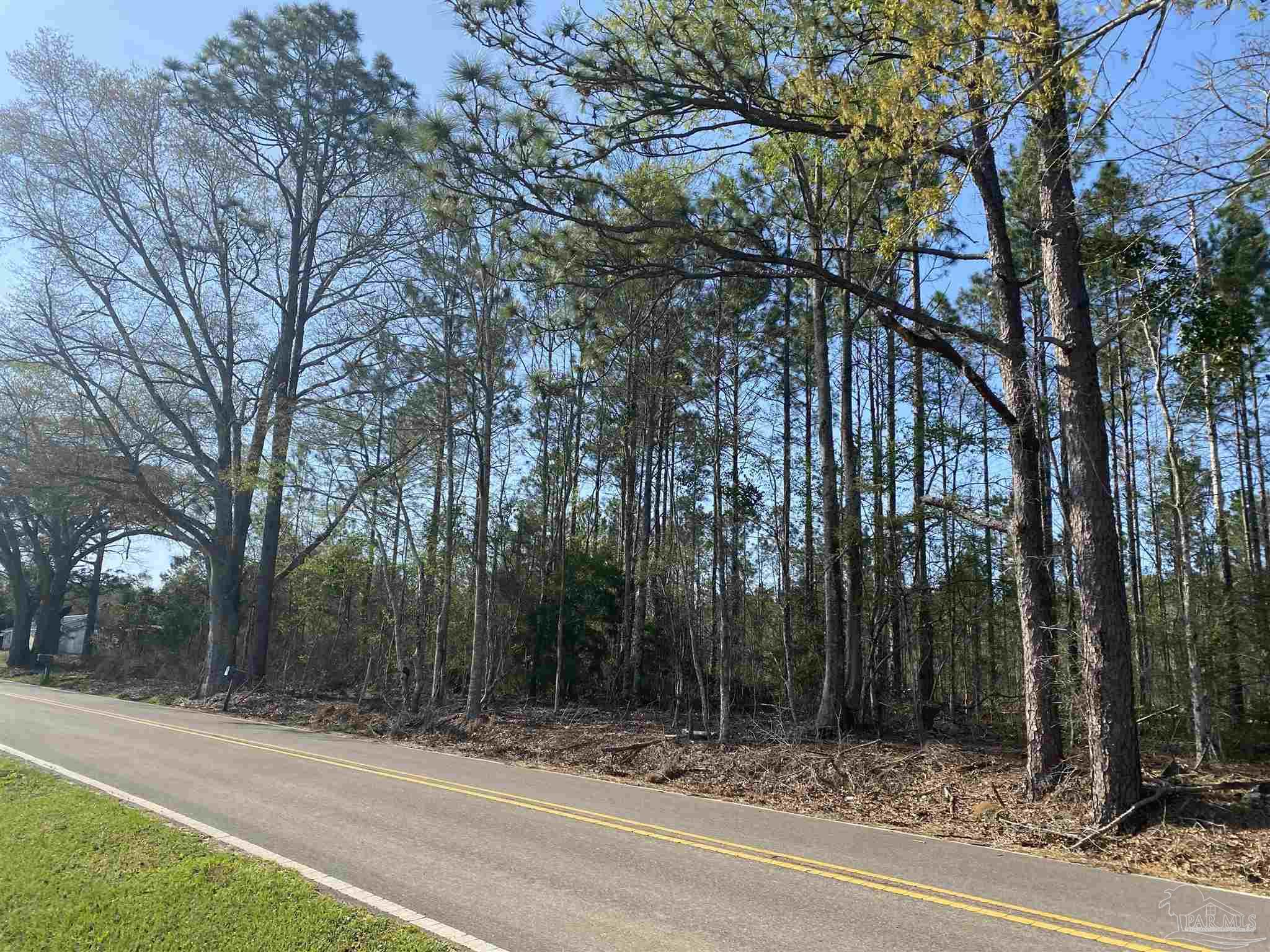 0 Deere Creek Road Atmore, AL 36502 - Photo 10 of 26