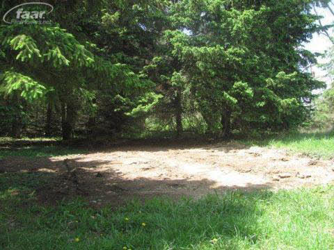 4782 Hadley Road Goodrich, MI 48438 - Photo 13 of 13 20201654-12.JPG