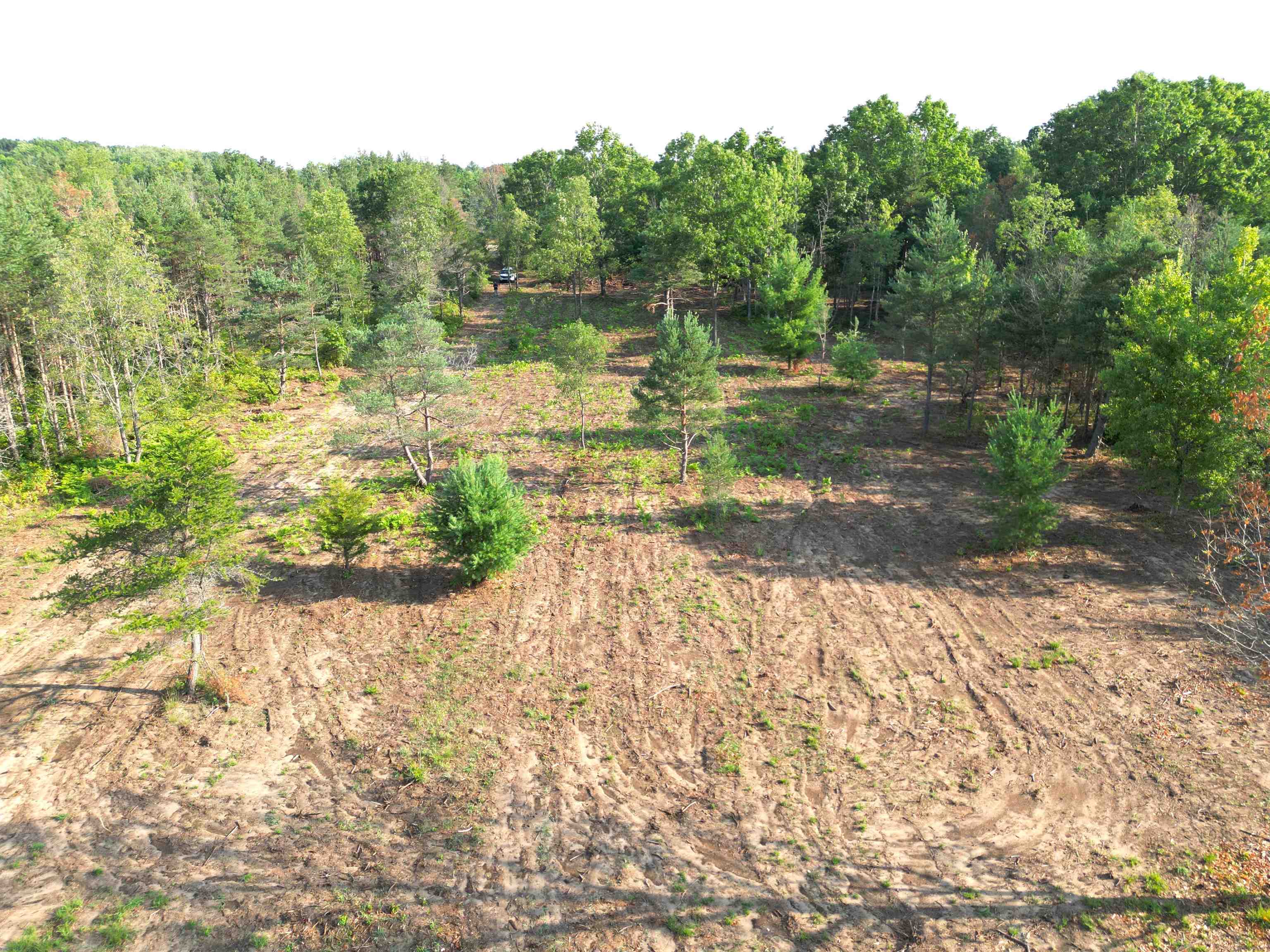 0 East 12 Road Manton, MI 49663 - Photo 5 of 7