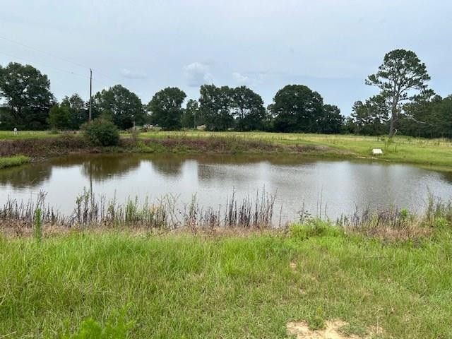 Tbd Harveytown Road Tylertown, MS 39667 - Photo 2 of 7 Photo 2