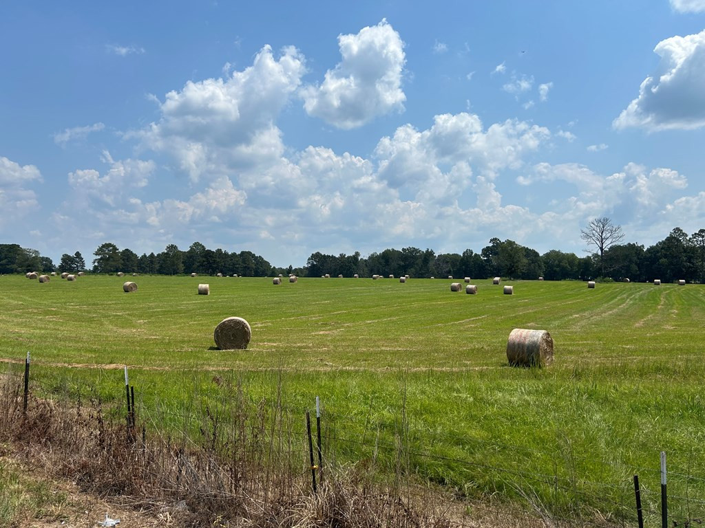 Tbd Harveytown Road Tylertown, MS 39667 - Photo 5 of 7 Photo 5