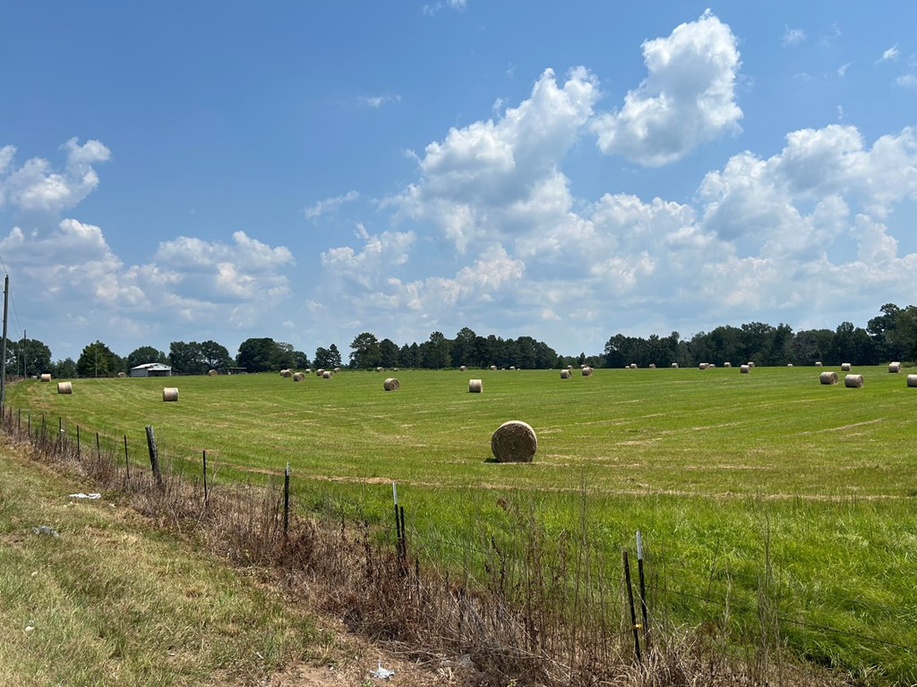 Tbd Harveytown Road Tylertown, MS 39667 - Photo 6 of 7 Photo 6