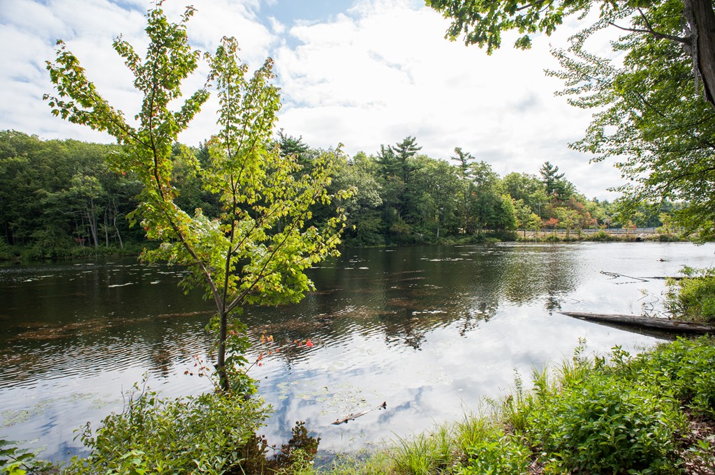 2461 West State Road Ashby, MA 01431 - Photo 29 of 30