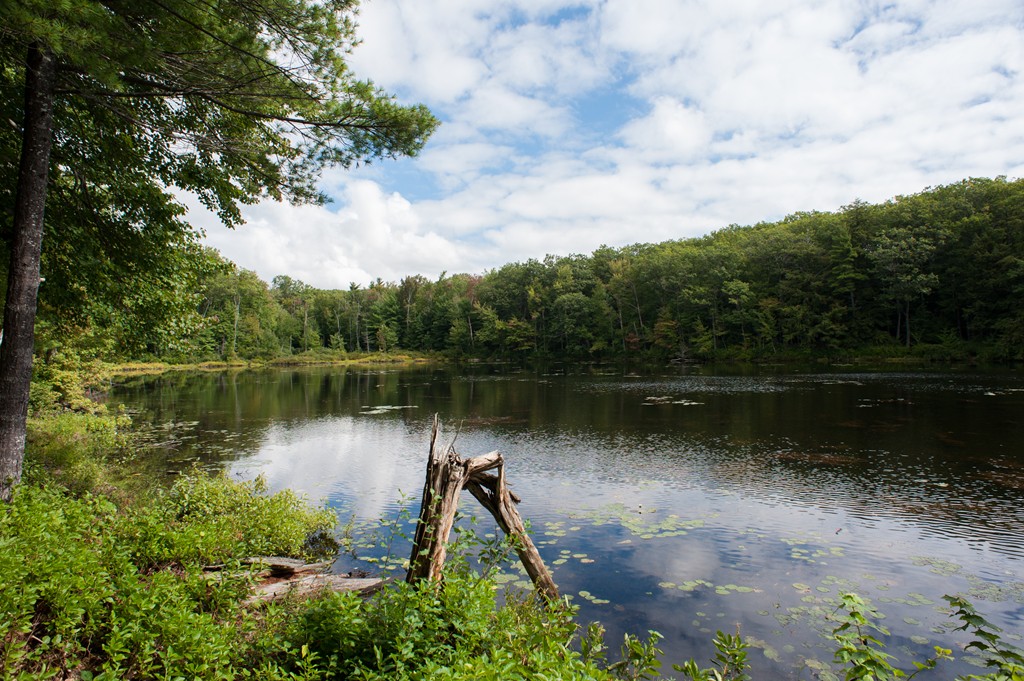 2461 West State Road Ashby, MA 01431 - Photo 5 of 30