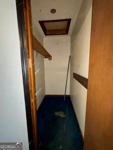 a view of a yard with plants and trees