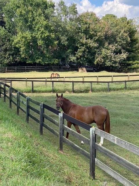 14250 Freemanville Road Milton, GA 30004 - Photo 71 of 72