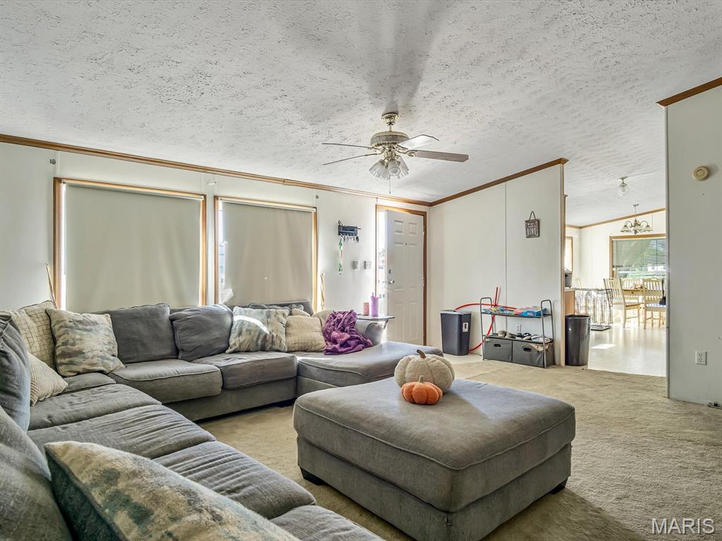 929 State Rte 4 Willisville, IL 62272 - Photo 4 of 14