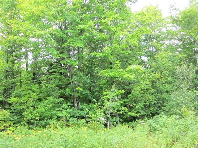 On Flowage Road Hurley, WI 54534 - Photo 5 of 8 Gallery Image 5
