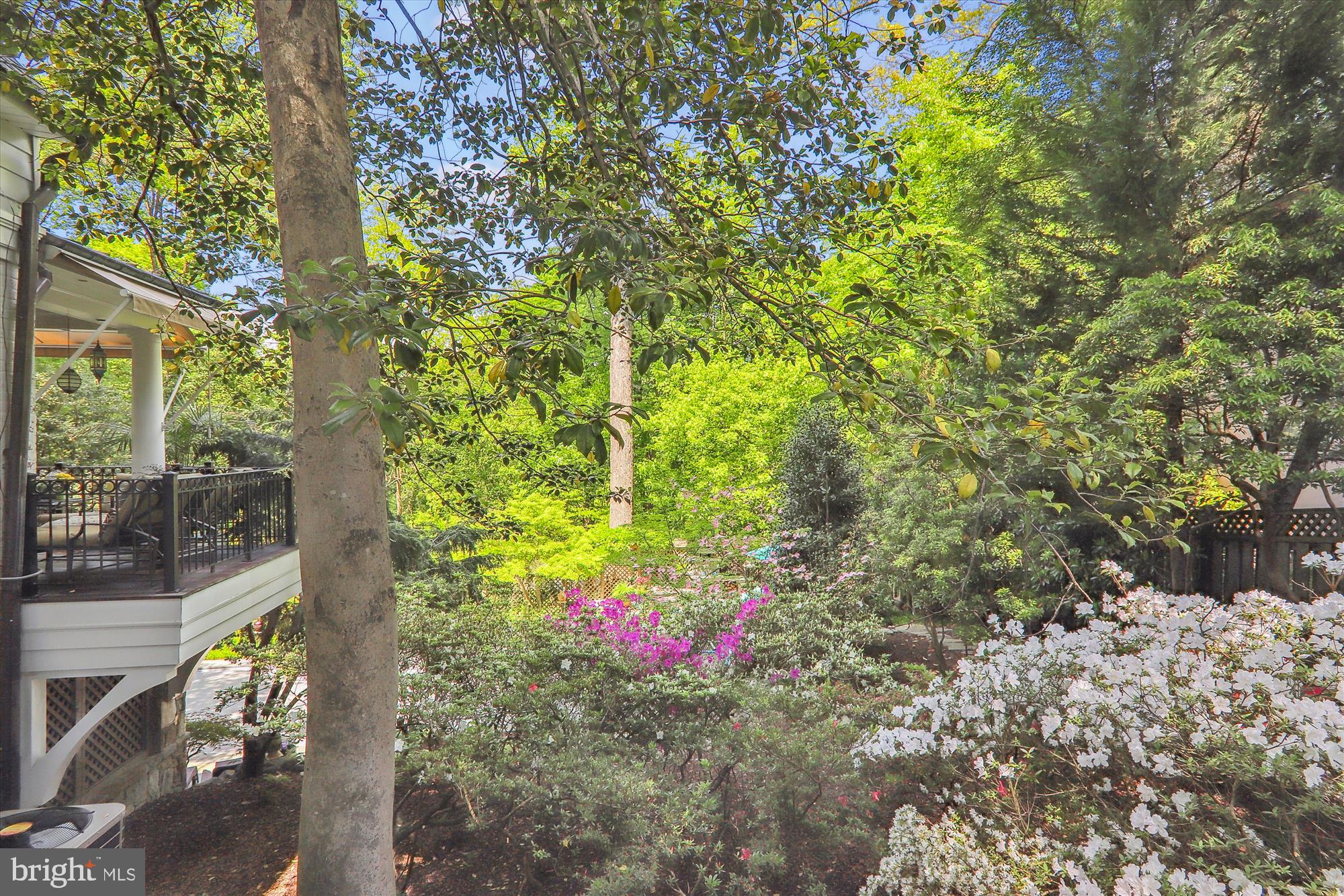 2721 Daniel Road Chevy Chase, MD 20815 - Photo 12 of 110 Right Side Main Level Balcony View