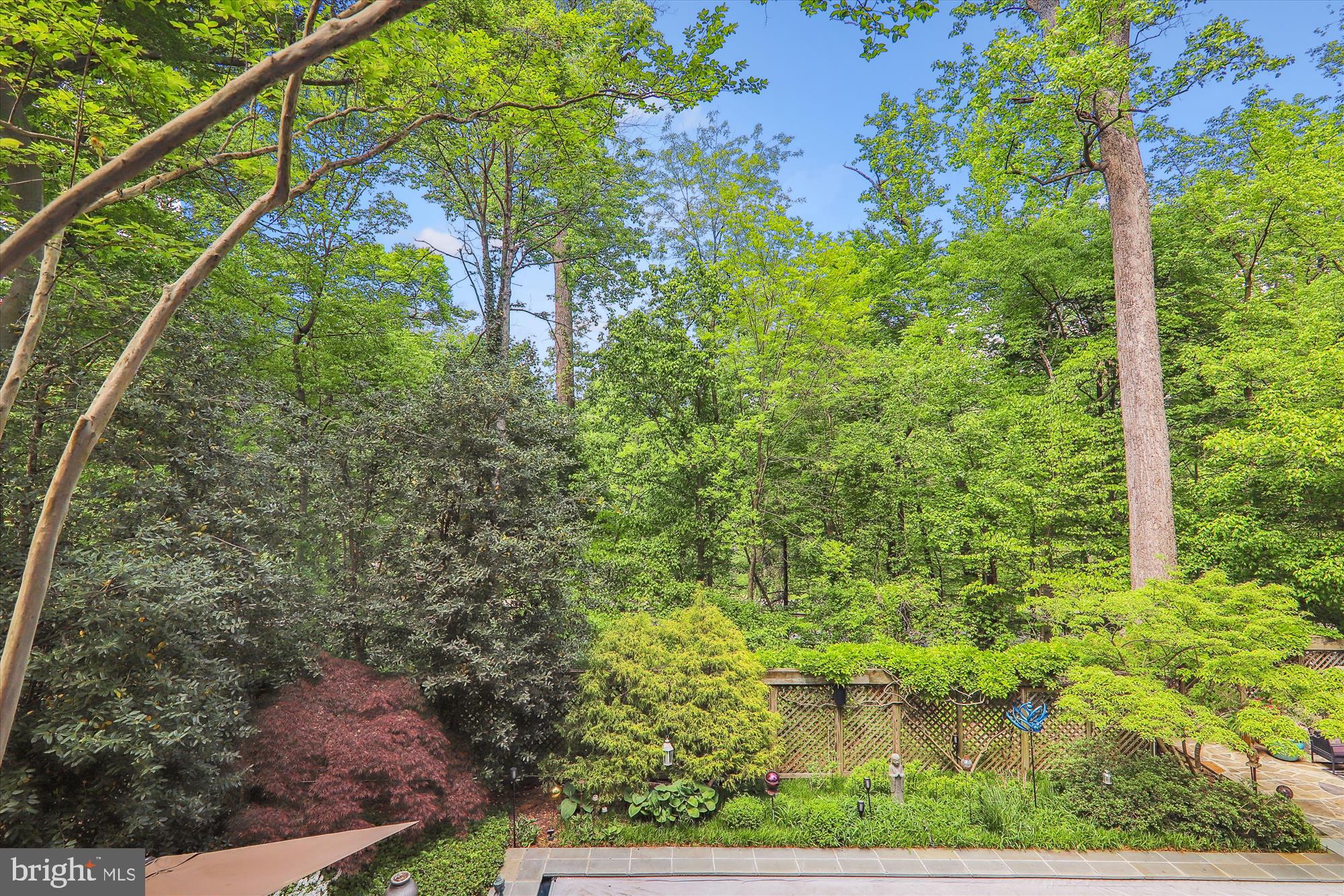 2721 Daniel Road Chevy Chase, MD 20815 - Photo 38 of 110 Main Level Rear Balcony View