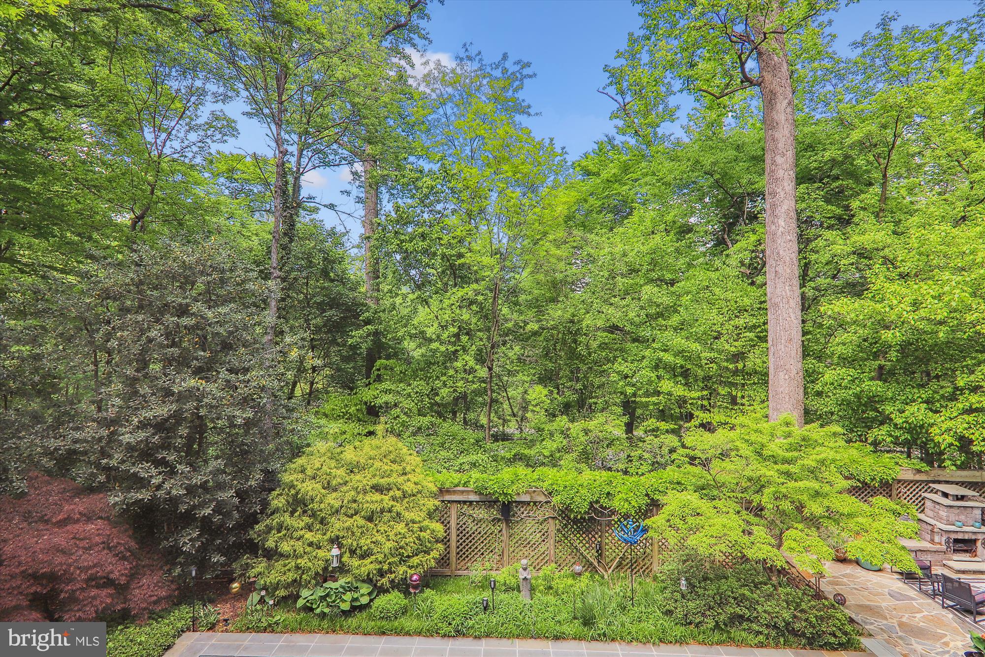 2721 Daniel Road Chevy Chase, MD 20815 - Photo 40 of 110 Main Level Rear Balcony View