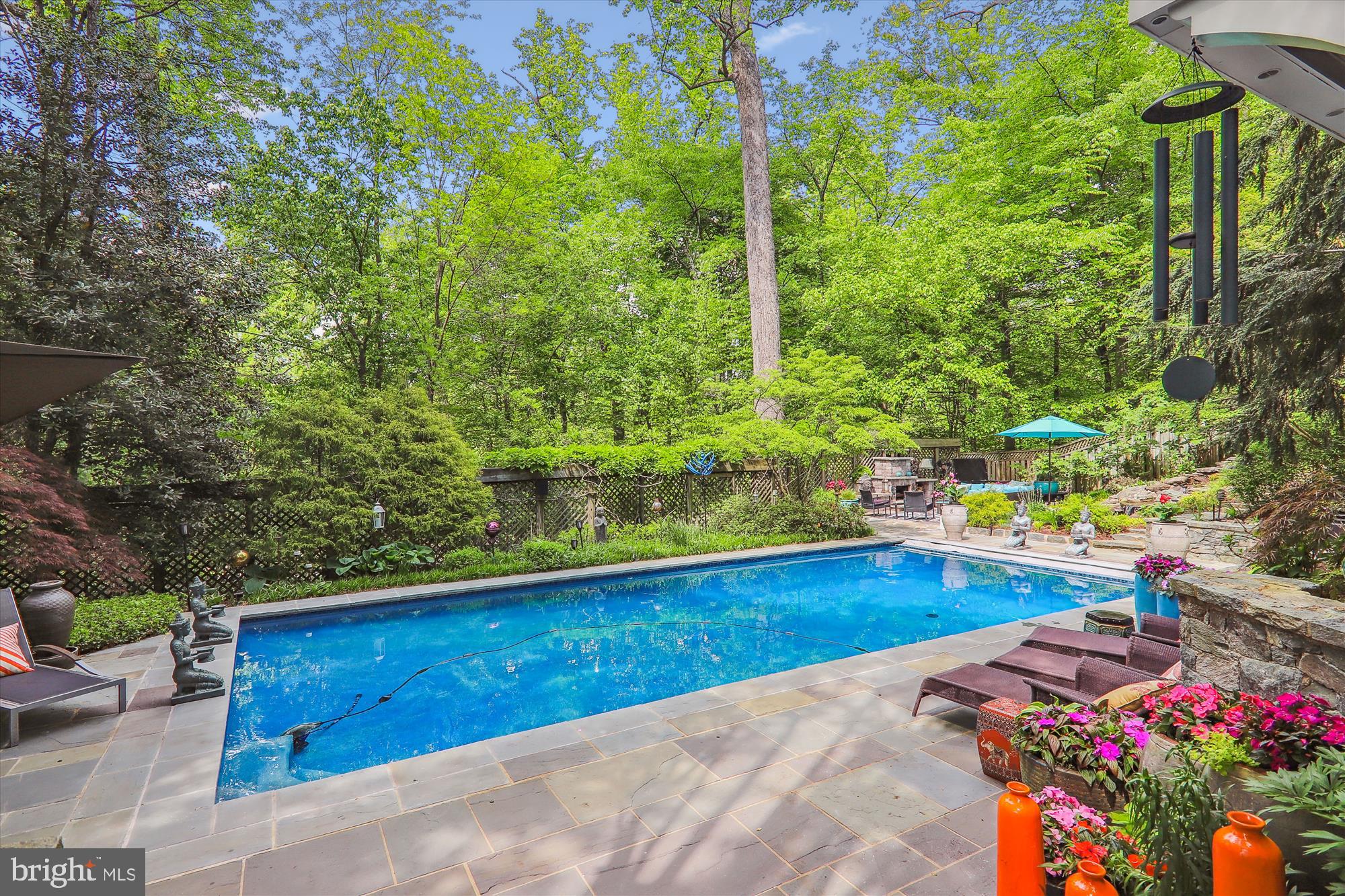 2721 Daniel Road Chevy Chase, MD 20815 - Photo 98 of 110 Pool