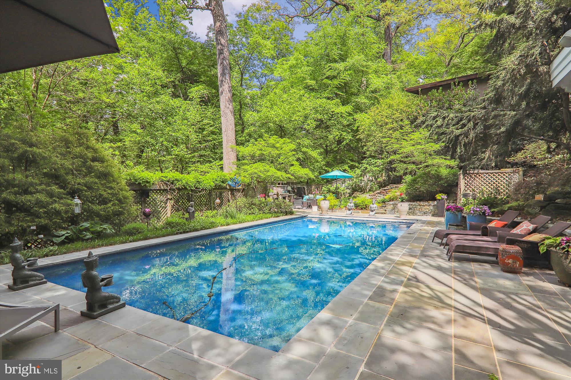 2721 Daniel Road Chevy Chase, MD 20815 - Photo 99 of 110 Pool