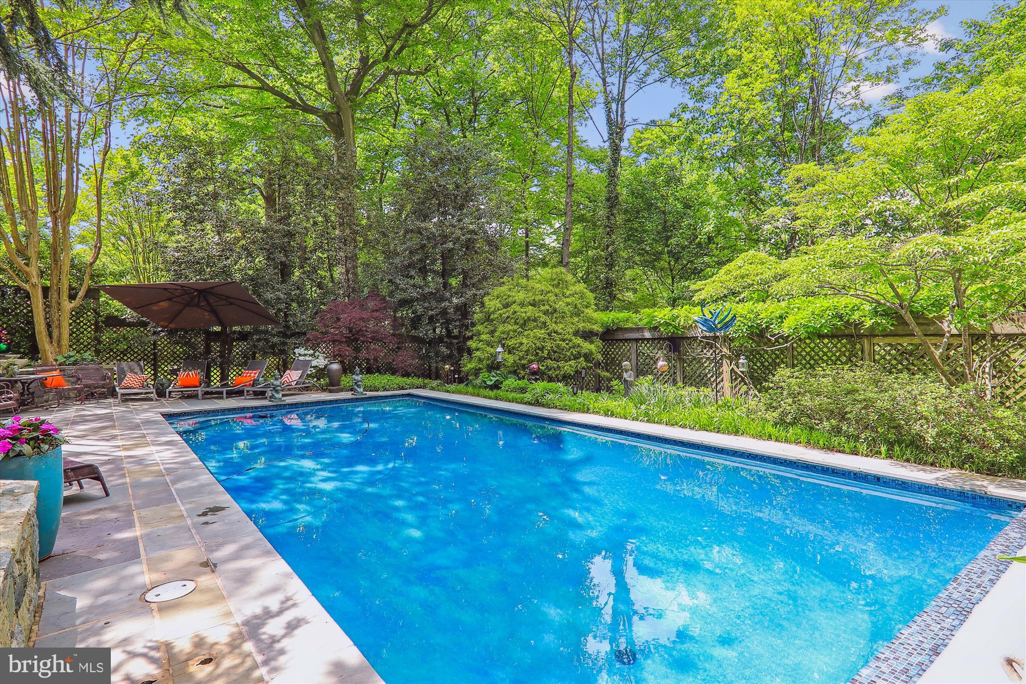 2721 Daniel Road Chevy Chase, MD 20815 - Photo 100 of 110 Pool