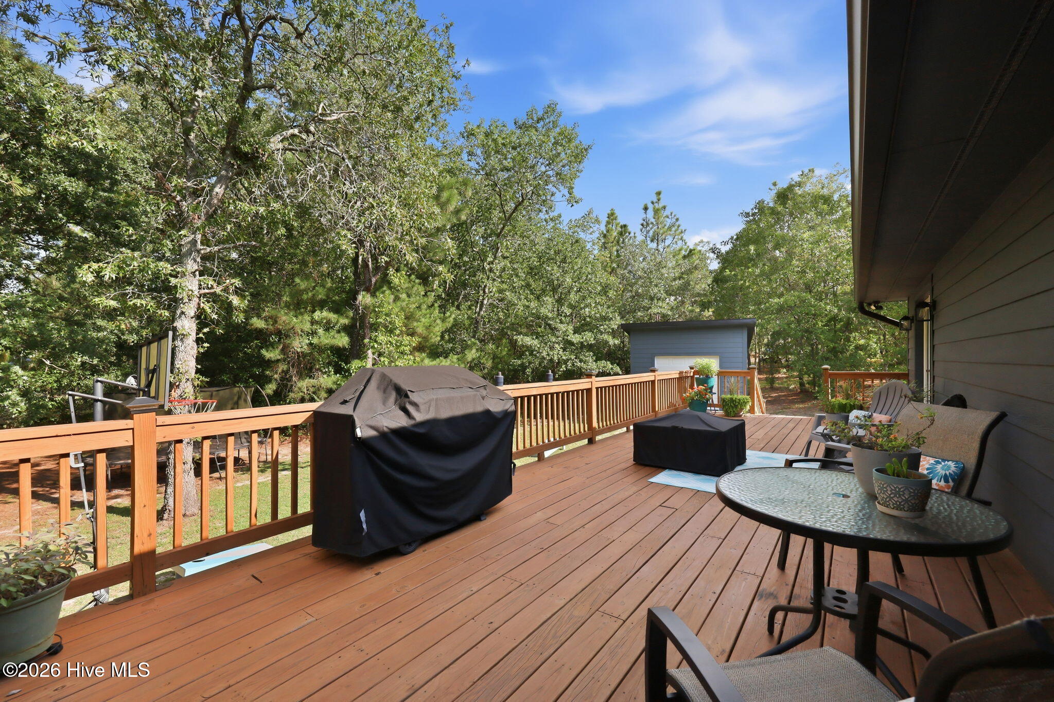 3907 Hoffman Road Jackson Springs, NC 27281 - Photo 49 of 56 Gallery Image 49
