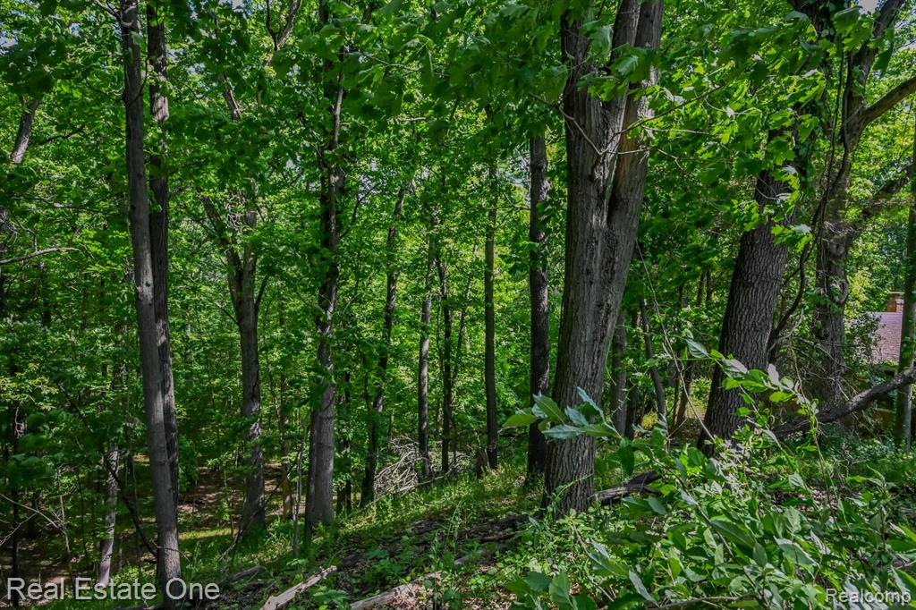 1832 West Commerce Road Milford, MI 48380 - Photo 7 of 13