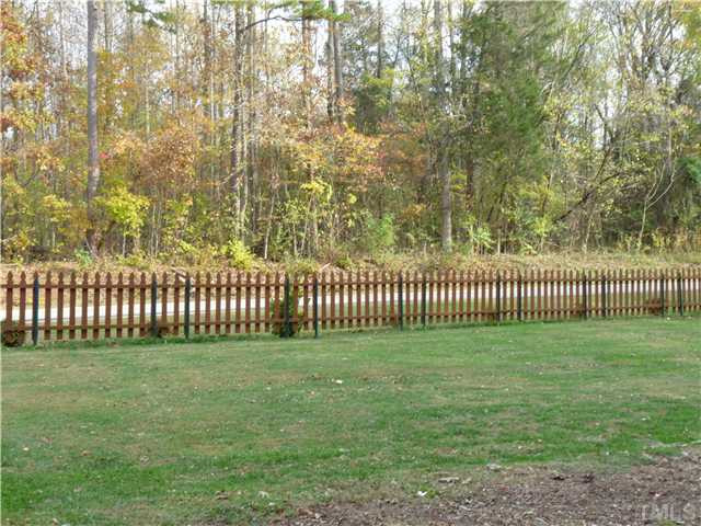 6619 Moores Mill Road Rougemont, NC 27572 - Photo 23 of 25 Photo 23
