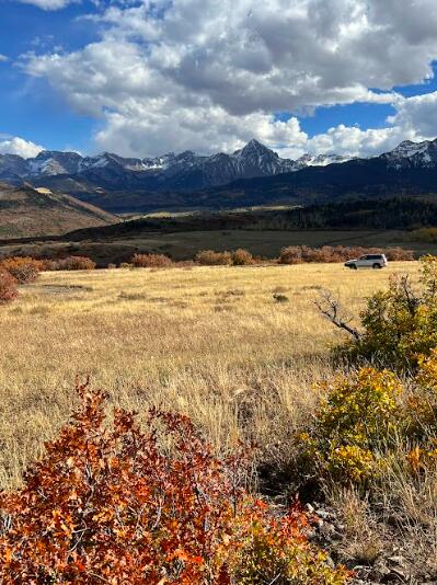 62 Highway 62 Ridgway, CO 81432 - Photo 10 of 13 Fall perfection