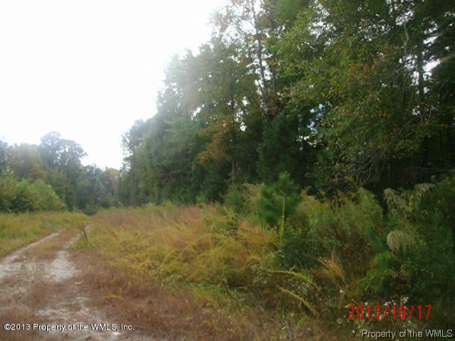 Mantura Road Surry, VA 23883 - Photo 5 of 9 Gallery Image 5