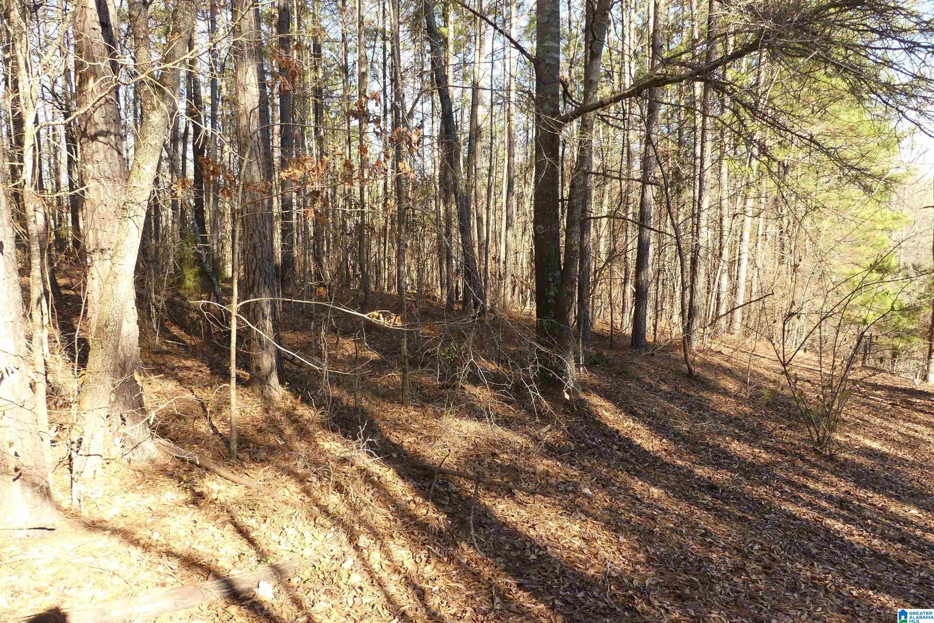 Lot # Memory Lane, Unit 4 Wedowee, AL 36278 - Photo 3 of 9