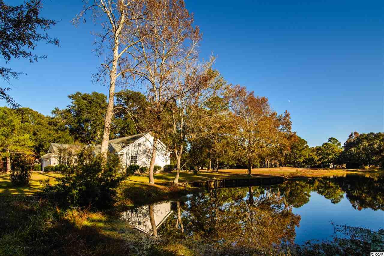 125 Wraggs Ferry Road Georgetown, SC 29440 - Photo 2 of 25 Gallery Image 2
