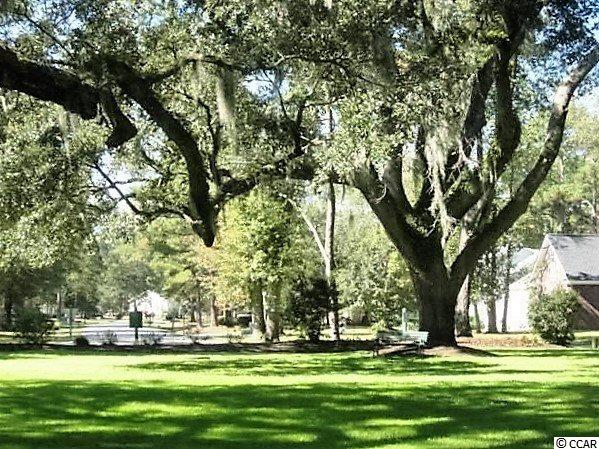 125 Wraggs Ferry Road Georgetown, SC 29440 - Photo 23 of 25 Gallery Image 23