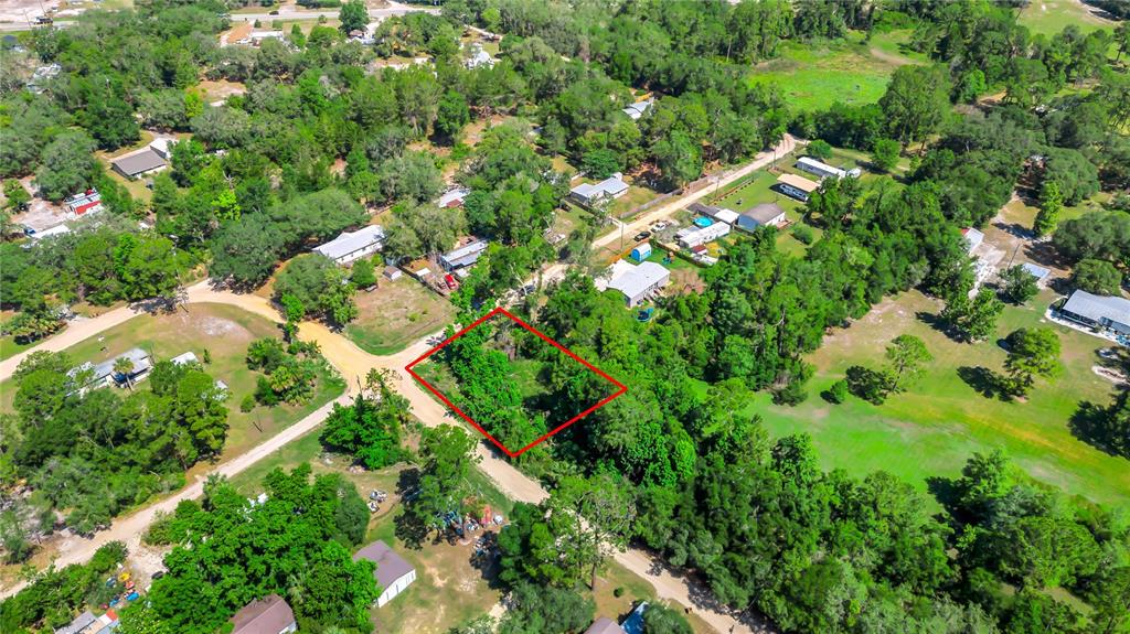 40850 Pine Tree Lane Eustis, FL 32736 - Photo 11 of 22