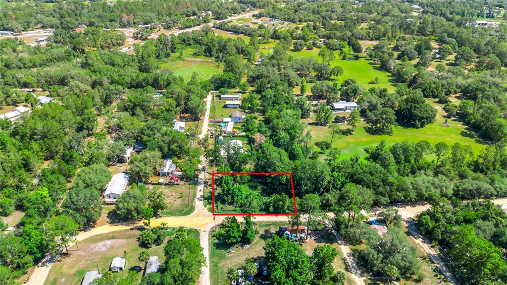 40850 Pine Tree Lane Eustis, FL 32736 - Photo 12 of 22