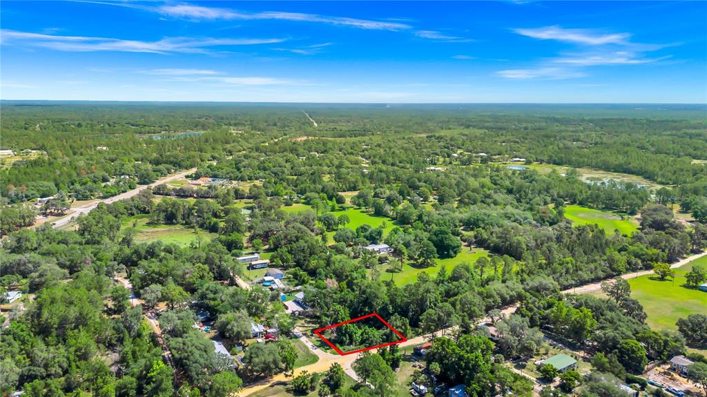 40850 Pine Tree Lane Eustis, FL 32736 - Photo 13 of 22