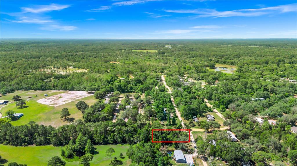 40850 Pine Tree Lane Eustis, FL 32736 - Photo 16 of 22