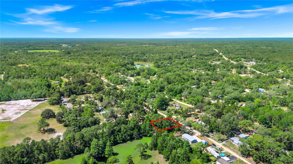 40850 Pine Tree Lane Eustis, FL 32736 - Photo 17 of 22