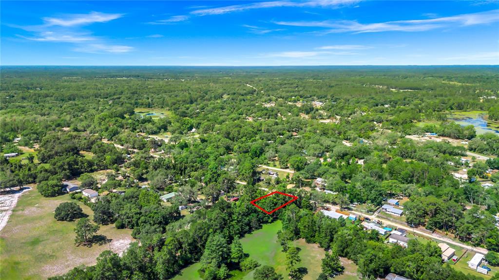 40850 Pine Tree Lane Eustis, FL 32736 - Photo 18 of 22
