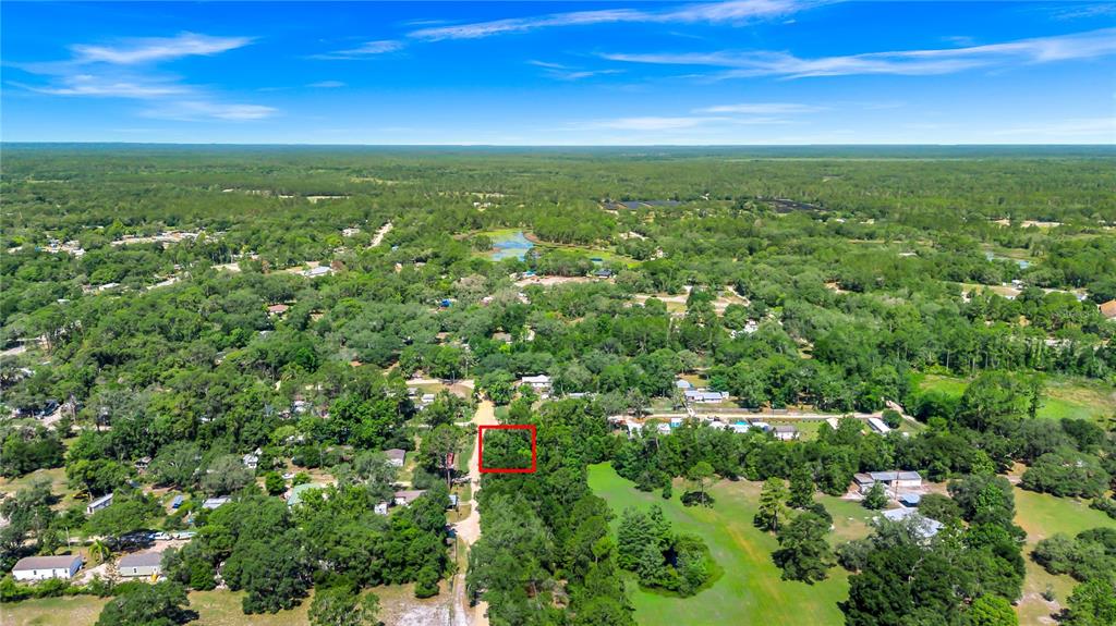 40850 Pine Tree Lane Eustis, FL 32736 - Photo 19 of 22