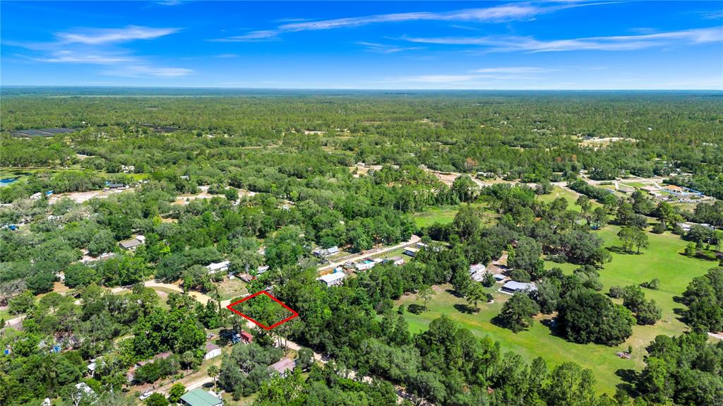40850 Pine Tree Lane Eustis, FL 32736 - Photo 20 of 22
