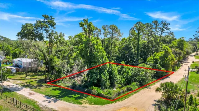a view of a yard with plants