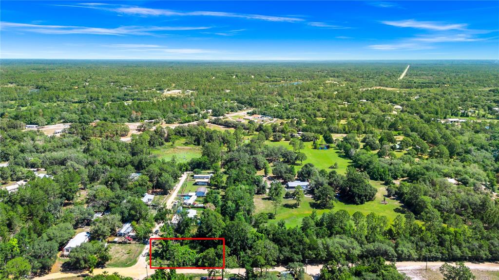 40850 Pine Tree Lane Eustis, FL 32736 - Photo 21 of 22