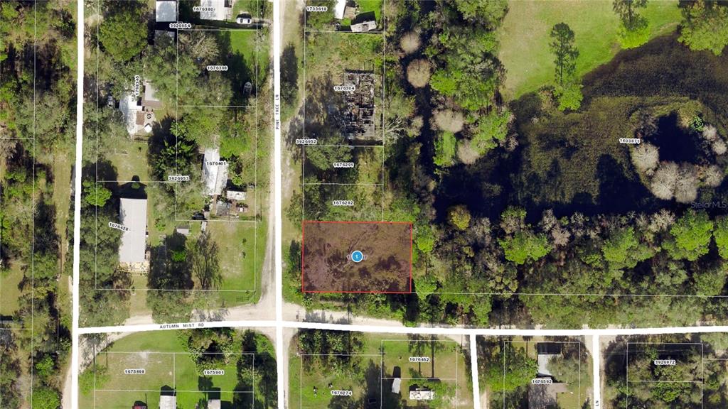 40850 Pine Tree Lane Eustis, FL 32736 - Photo 22 of 22