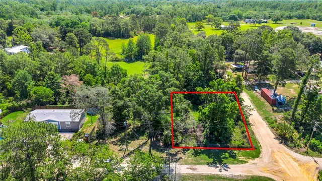 an aerial view of residential house with outdoor space and trees all around