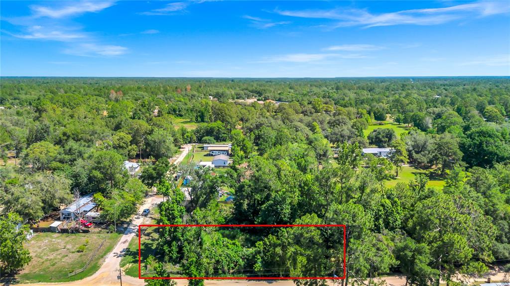 40850 Pine Tree Lane Eustis, FL 32736 - Photo 6 of 22