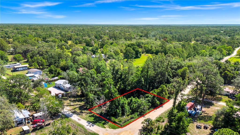40850 Pine Tree Lane Eustis, FL 32736 - Photo 7 of 22