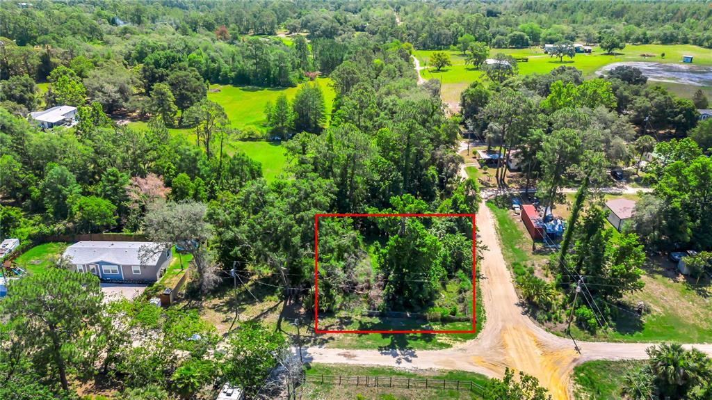 40850 Pine Tree Lane Eustis, FL 32736 - Photo 8 of 22