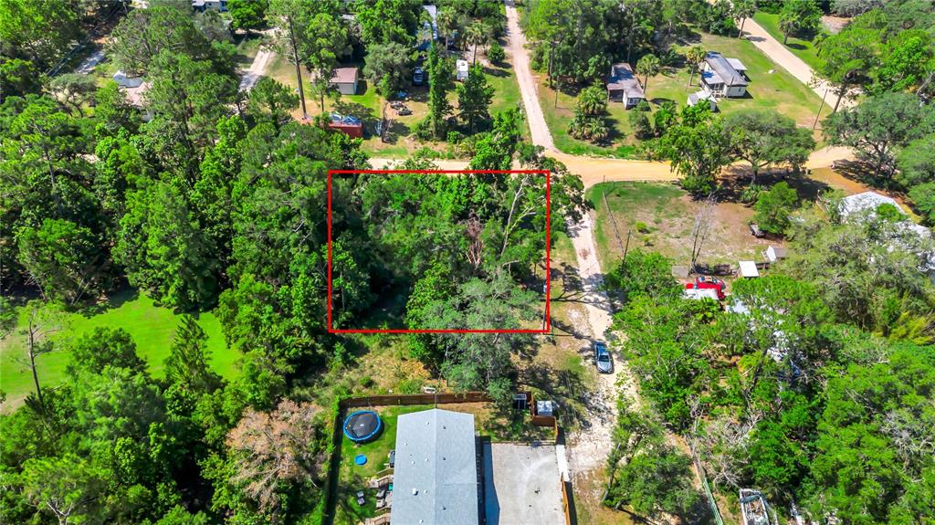 40850 Pine Tree Lane Eustis, FL 32736 - Photo 9 of 22