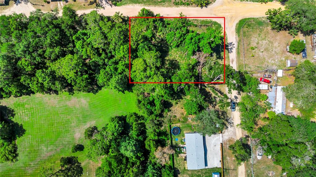 40850 Pine Tree Lane Eustis, FL 32736 - Photo 10 of 22