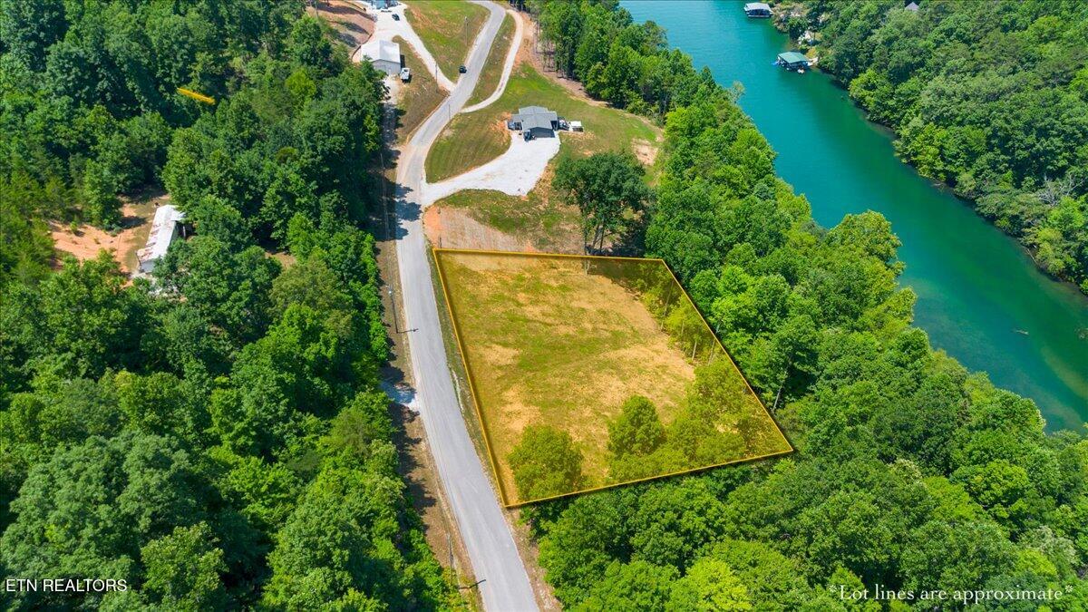 2321 Cove Pointe Road La Follette, TN 37766 - Photo 4 of 10 03-Land