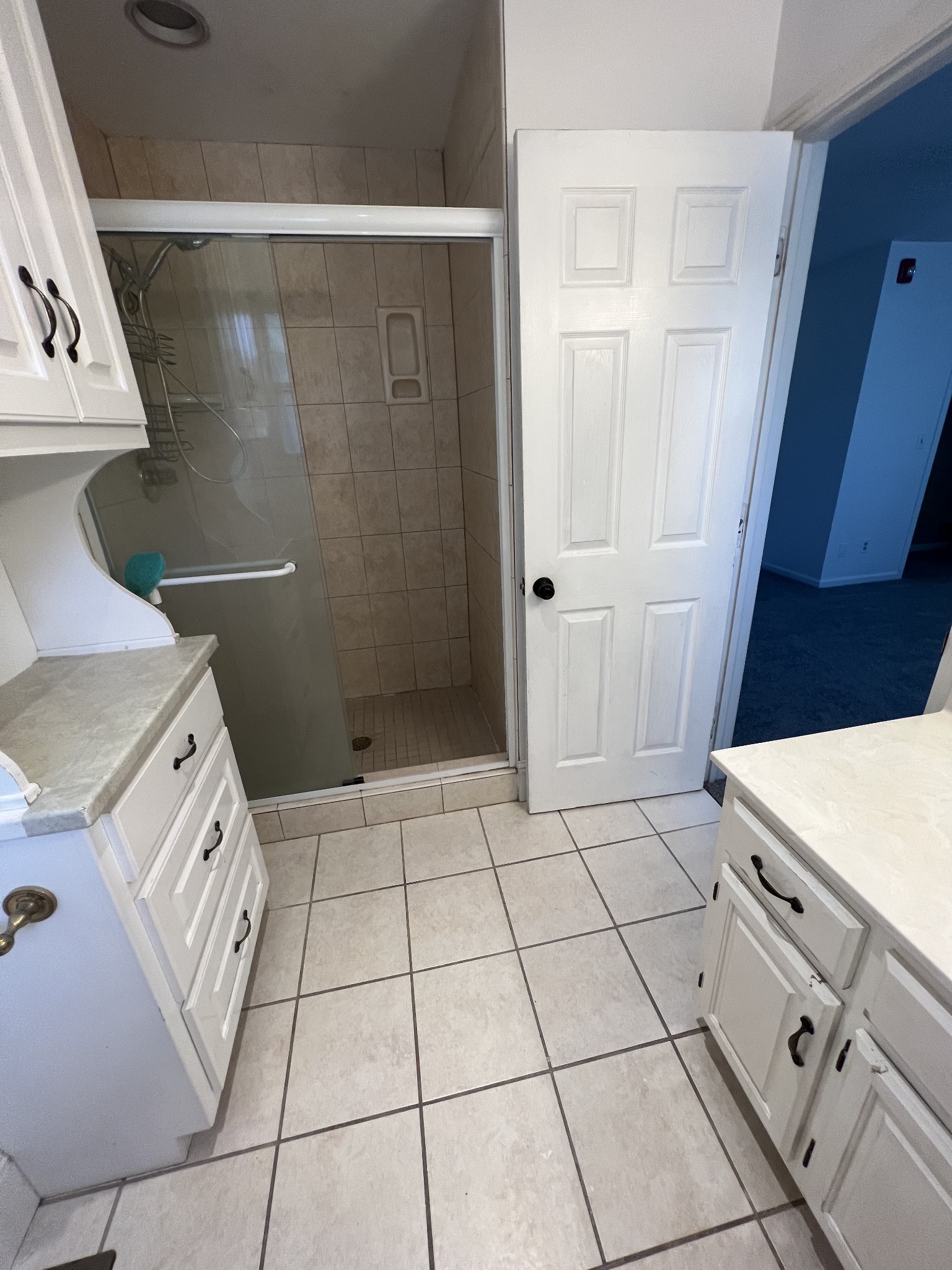 5588 Lebanon Road Lebanon, TN 37087 - Photo 22 of 43 a bathroom with a sink a toilet and a shower